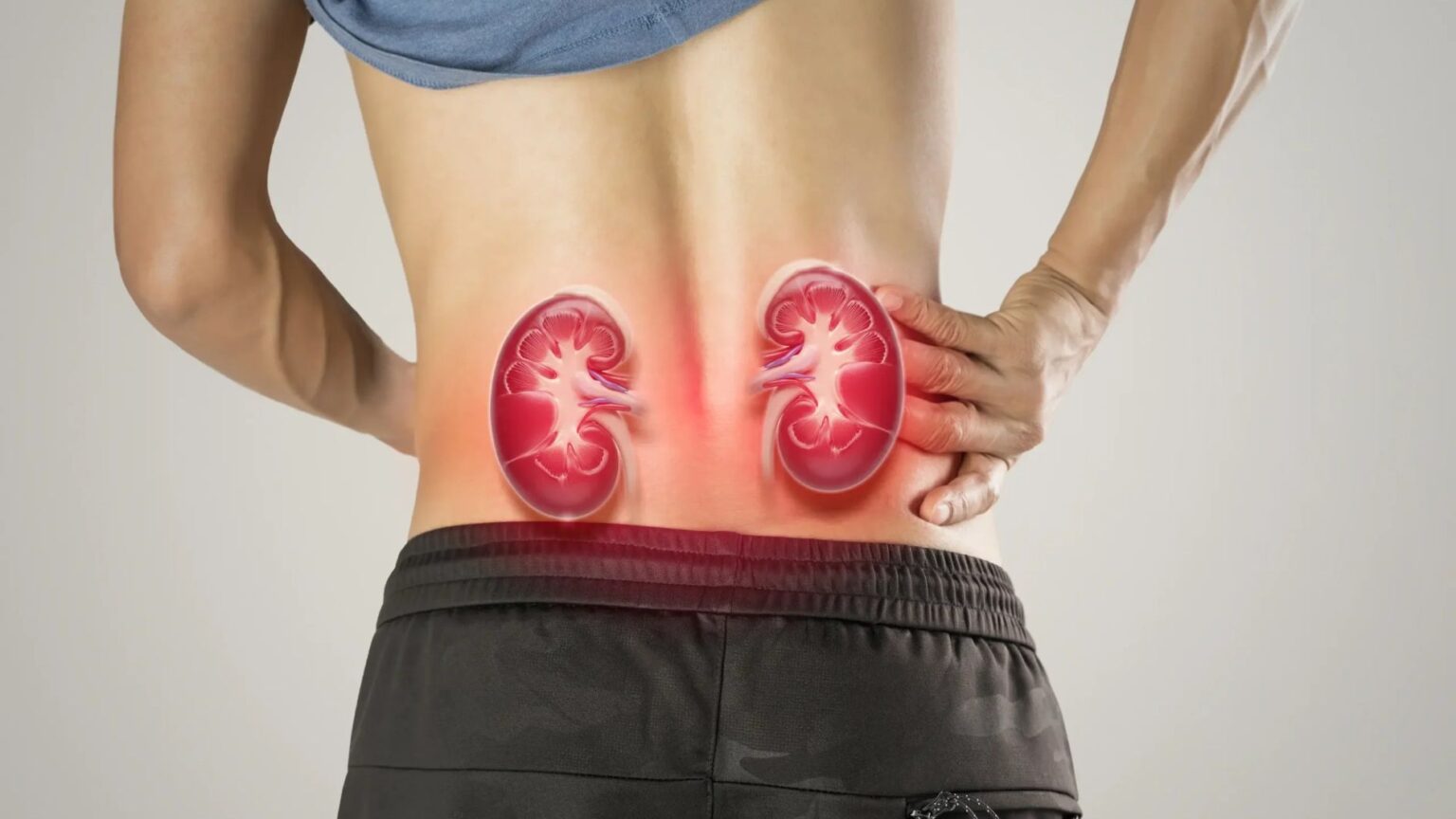 Kidney123-1536x864-1